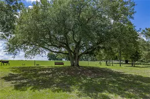 37624 Sky Ridge Cir, Dade City, FL 33525 - Photo 80