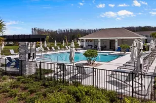 4212 Cloud Hopper Wy, Lutz, FL 33559 - Photo 42