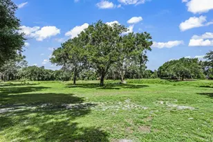 10660 E Bushnell Rd, Floral City, FL 34436 - Photo 50