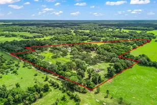 10660 E Bushnell Rd, Floral City, FL 34436 - Photo 2