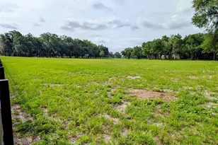 10660 E Bushnell Rd, Floral City, FL 34436 - Photo 6