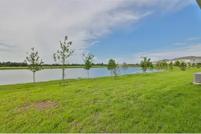 233 Mangrove Shade Circle, Apollo Beach, FL 33572 - Photo 4