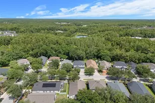 16230 Nottingham Park Way, Tampa, FL 33647 - Photo 50