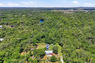 911 Marjorie Ave, Brandon, FL 33511 - Photo 38