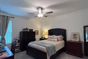 16919 Forge Surf St, Land O Lakes, FL 34638 - Photo 16