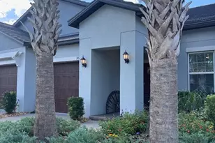16919 Forge Surf St, Land O Lakes, FL 34638 - Photo 1