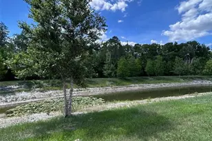 16919 Forge Surf St, Land O Lakes, FL 34638 - Photo 34