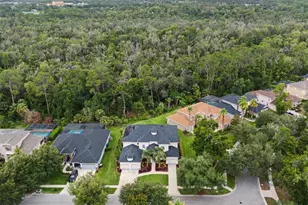 5116 Abisher Wood Ln, Brandon, FL 33511 - Photo 68