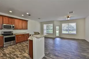 26948 Juniper Bay Dr, Wesley Chapel, FL 33544 - Photo 4