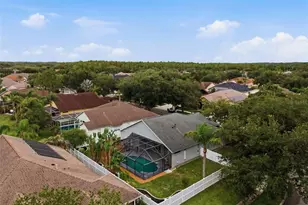 19348 Wind Dancer St, Lutz, FL 33558 - Photo 80