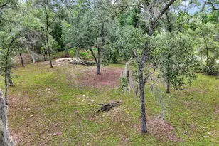 13931 SE 25 St, Morriston, FL 32668 - Photo 40