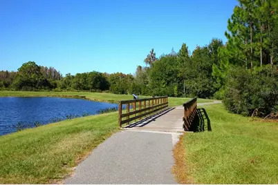 8755 Flourish Drive, Land O Lakes, FL 34637 - Photo 82