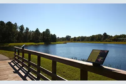 8755 Flourish Drive, Land O Lakes, FL 34637 - Photo 78