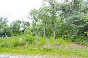 7402 Land Dr, Wesley Chapel, FL 33545 - Photo 1