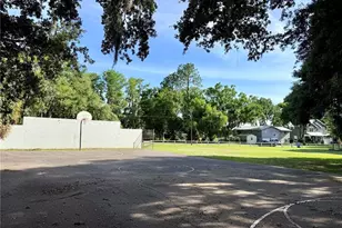 13828 Friendship Ln, Odessa, FL 33556 - Photo 40