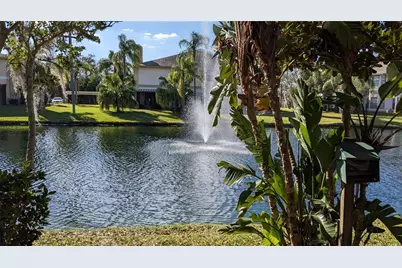 46 Emerald Bay Drive, Oldsmar, FL 34677 - Photo 20