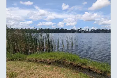 14232 Chisholm Lane, Odessa, FL 33556 - Photo 20