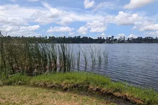 14232 Chisholm Ln, Odessa, FL 33556 - Photo 20