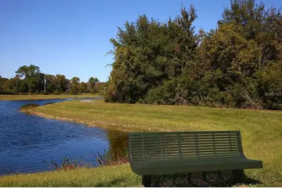 10093 Campanula Court, Land O Lakes, FL 34637 - Photo 58