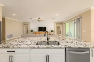 35820 Iron Redding Ct, Zephyrhills, FL 33541 - Photo 26