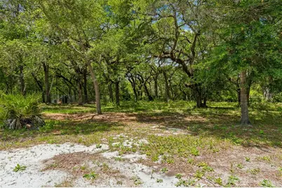 8855 SW 146th Place, Dunnellon, FL 34432 - Photo 46