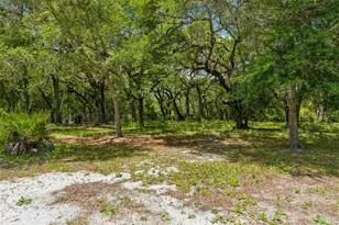 8855 SW 146th Pl, Dunnellon, FL 34432 - Photo 46