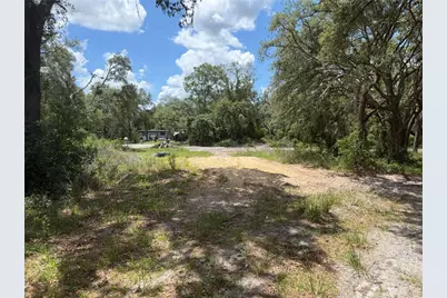 3310 Treiman Boulevard, Ridge Manor, FL 33523 - Photo 6