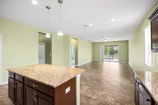 3851 Pacente Loop, Wesley Chapel, FL 33543 - Photo 10