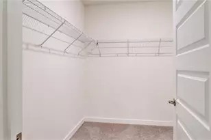 31899 Oyster Trellis Ln, Wesley Chapel, FL 33545 - Photo 12