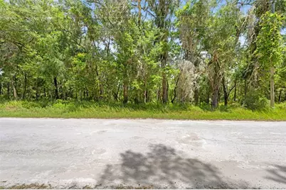 0 Ricebird Avenue #LOT 10-11, Weeki Wachee, FL 34614 - Photo 14