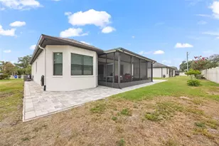 11026 Brahman Ranch Cir, Riverview, FL 33578 - Photo 42