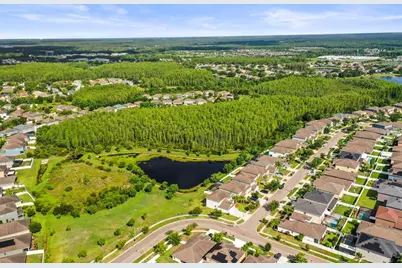 3603 Morgons Castle Court, Land O Lakes, FL 34638 - Photo 48