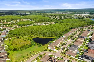 3603 Morgons Castle Ct, Land O Lakes, FL 34638 - Photo 48