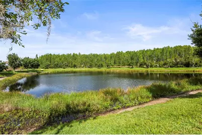 3603 Morgons Castle Court, Land O Lakes, FL 34638 - Photo 44