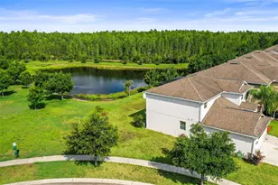 3603 Morgons Castle Ct, Land O Lakes, FL 34638 - Photo 50