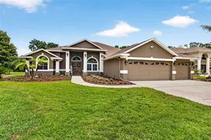 3904 S Nine Dr, Valrico, FL 33596 - Photo 2