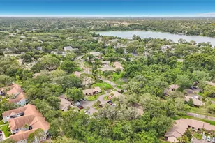 2983 Elder Ct, Palm Harbor, FL 34684 - Photo 36