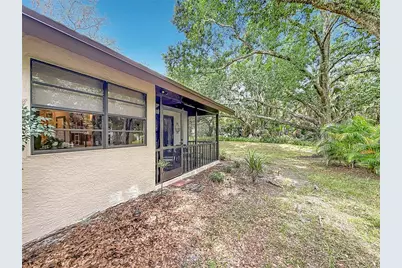 2983 Elder Court, Palm Harbor, FL 34684 - Photo 34