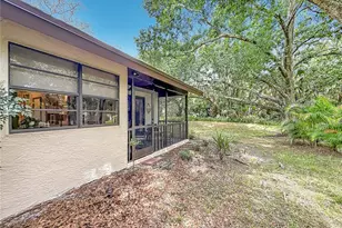 2983 Elder Ct, Palm Harbor, FL 34684 - Photo 34