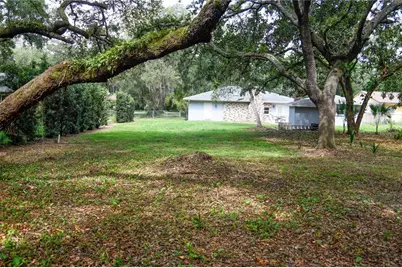 11715 N 51st Street, Tampa, FL 33617 - Photo 42