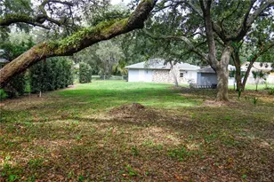 11715 N 51st St, Tampa, FL 33617 - Photo 42