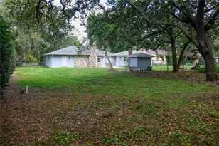 11715 N 51st St, Tampa, FL 33617 - Photo 48