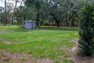 11715 N 51st St, Tampa, FL 33617 - Photo 46