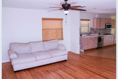 11715 N 51st Street, Tampa, FL 33617 - Photo 4