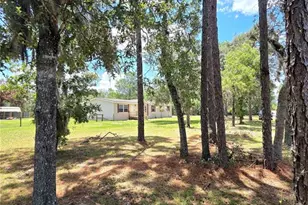 29341 Saddle Oaks Ln, Brooksville, FL 34602 - Photo 8