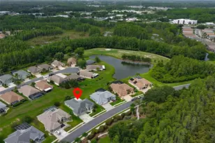 7521 Melogold Cir, Land O Lakes, FL 34637 - Photo 48
