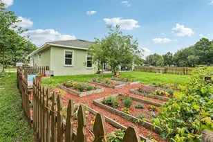 9876 Pangola Loop, Land O Lakes, FL 34639 - Photo 34