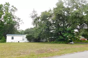 30501 Clearview Dr, Wesley Chapel, FL 33545 - Photo 2