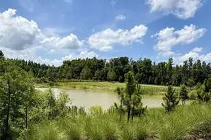 1483 Brekey Wy, Zephyrhills, FL 33541 - Photo 18