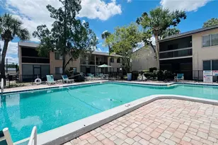 5508 Pokeweed Ct, Tampa, FL 33617 - Photo 20